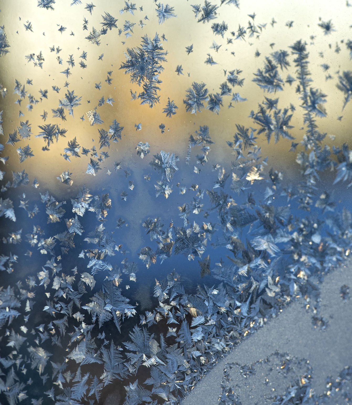 Frost